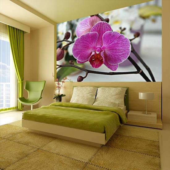 Storczyki - fototapeta-z-orchidea.jpg