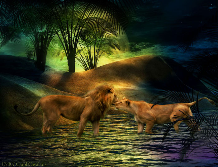 Carol Cavalaris - 61616173_11_LionLovers_Pic.jpg