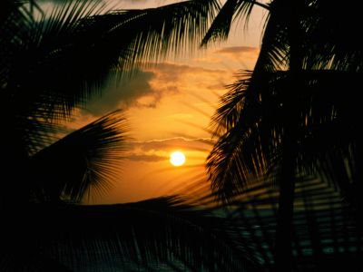 krajobrazy - normal_Silhouette Sunset, Hawaii.jpg