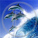 obrazki - delfin2.jpg