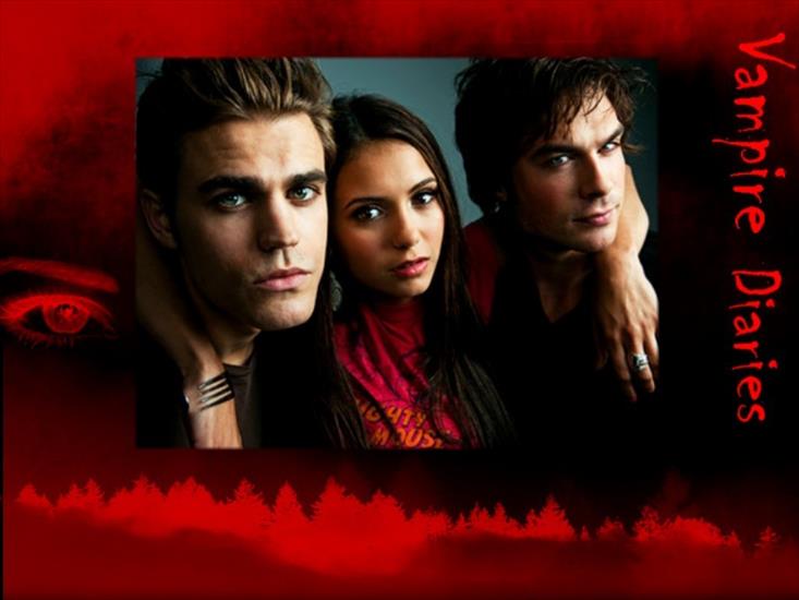 PAMIĘTNIKI WAMPIRÓW - Elena-Stefan-Damon-the-vampire-diaries-8841335-1024-768.jpg