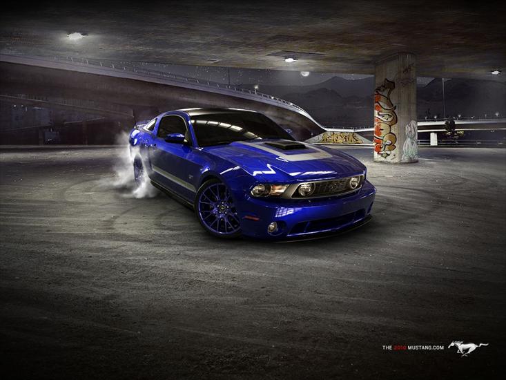 fotki - Mustang 2.jpg