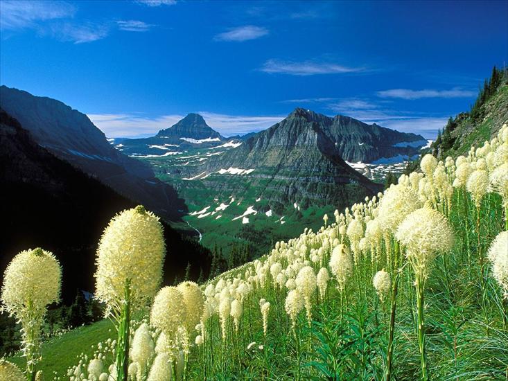 Krajobrazy - The_Highline_Trail_Glacier_National_Park_Montana.jpg