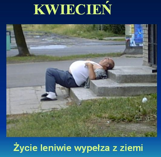 PIJACY - Kwiecień.bmp