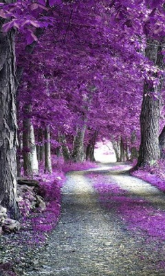 tapety - Purple_Nature.jpg