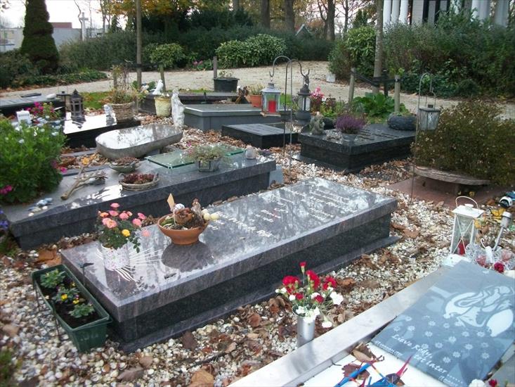 1.11.2011 cmentarz w Harlingenie - 100_2289.JPG