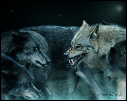 zwierzęta - wolffightbypickyme.jpg