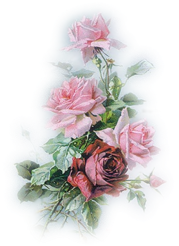  Dodatki kwiaty 2 - róża 83.png