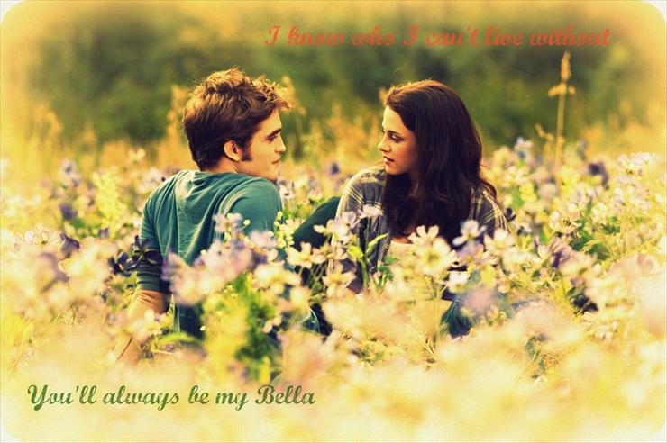 Bella  Edward - bella-edward-eclipse13.jpg