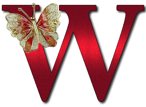 czerwone z broszką motyl - W.png