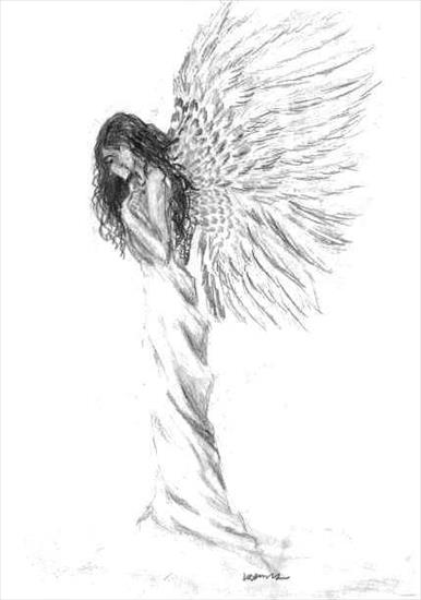 Obrazy - White Angel.jpg
