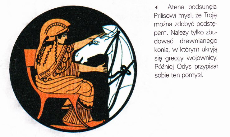 Starożytna Troja, obrazy - IMG_0007Historia st - Kultura egejska Troja.jpg
