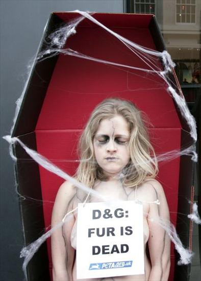 NAGIE protesty-PETA w ataku - MODELKA W TRUMNIE-JEDYNA0101.jpg