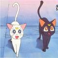 Sailor Moon - 19.jpg