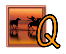 SHORELINE HORSE RIDE - Q.png