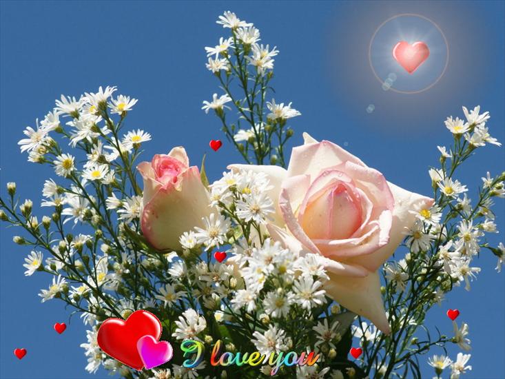 Piękne - pink_roses_with_hearts-dsc03034-g.jpg