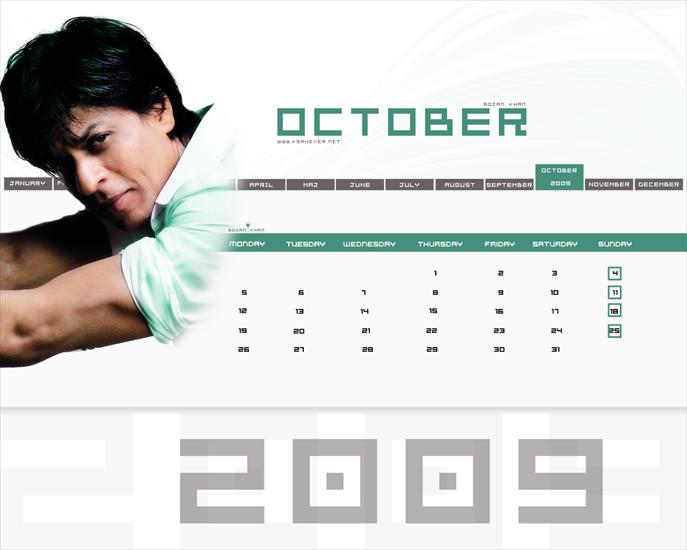 Shah Rukh Khan - 103.jpg