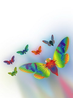 n95 8gb i nie tylko - Rainbow_Butterflies.jpg