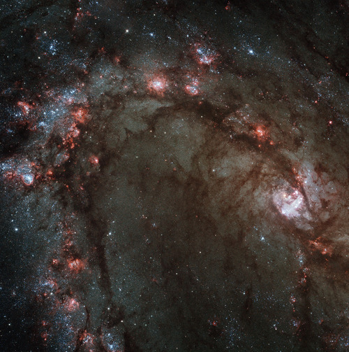 Kosmos - The Southern Pinwheel, M83.jpg