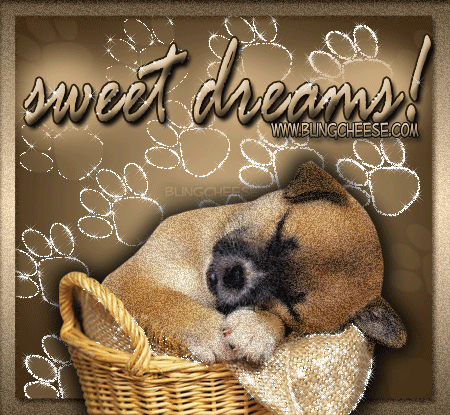 różne - 0_sweet_dreams_puppy_basket.gif