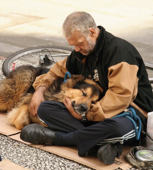 MIŁOŚĆ_NIEJEDNO_MA_IMIĘ_ - homeless-dogs-and-owners-32.jpg