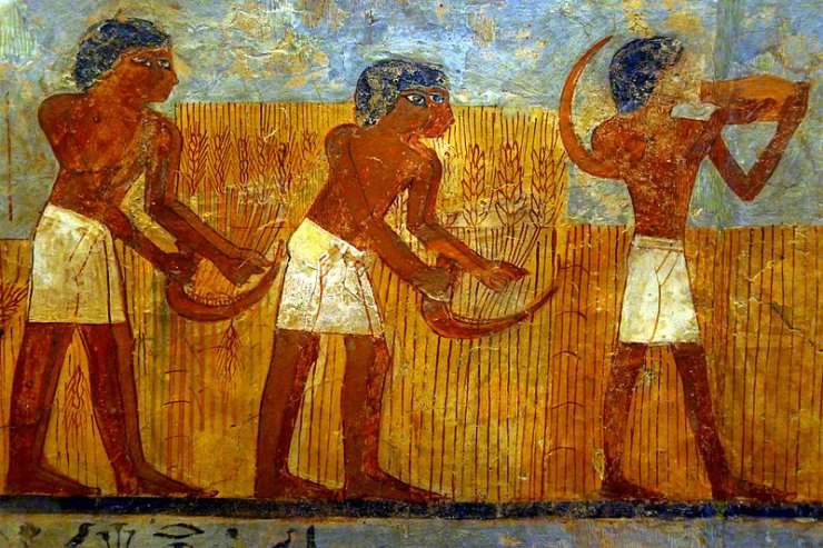 Chleby na różnych kontynentach - Malowidło z grobowca egipskiego.jpg