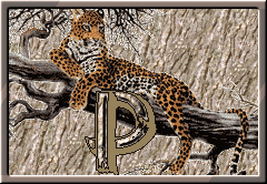 Lampart - cheetah-p-letter.gif