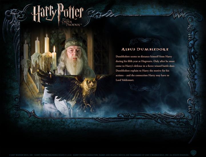 Character Profile - Character-Profile-harry-potter-130062_1050_800.jpg