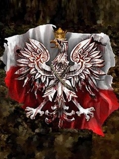 Patriotyczne - Polska 15.jpg