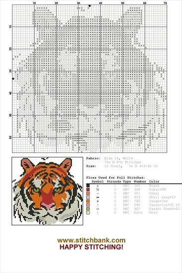 Haft - nauka ściegów krzyżykowych - wzor tygryska.jpg