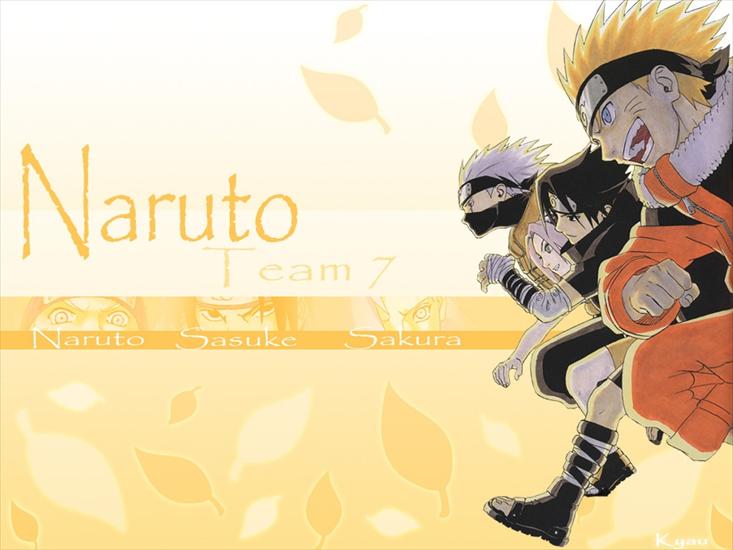 Naruto - 1024-by-768-36777-20060813054757.jpg