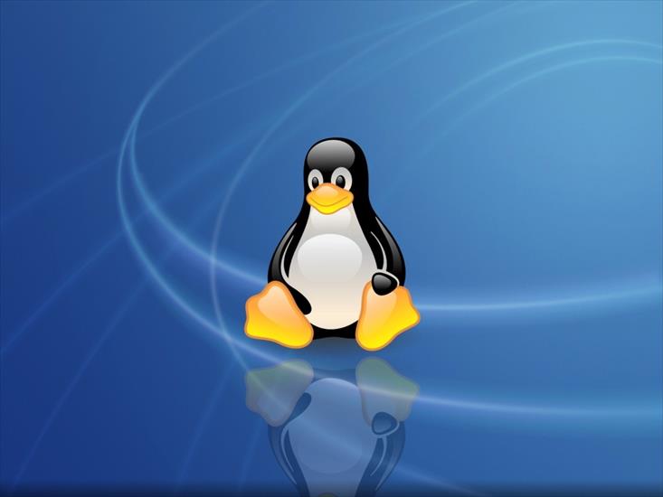 40 Linux  Wallpapers 1024 X 768 - Linux Wallpaper 29.jpg
