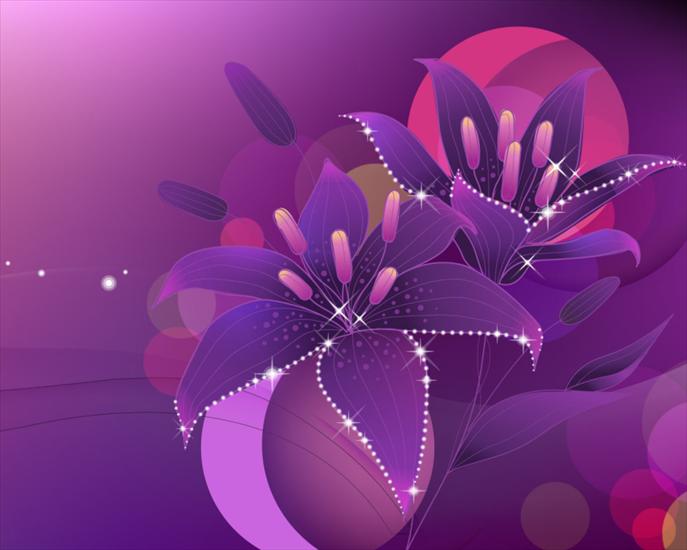 Fascynujące Tapety - Violet_flowers_.jpg