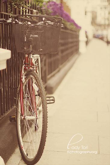 Na co dzień - bicycle 51.jpg
