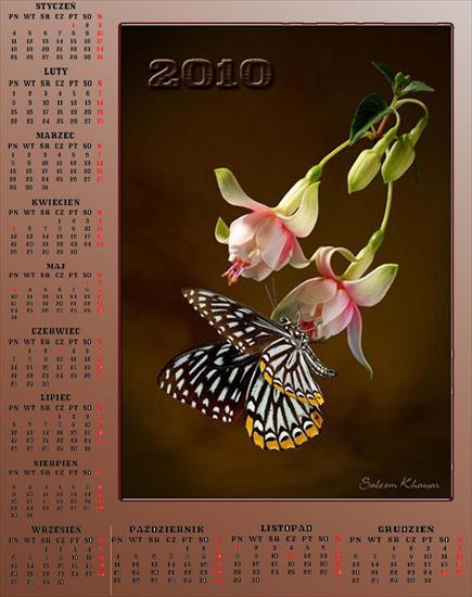 Kalendarze z motylkami - Bez nazwy 28.jpg