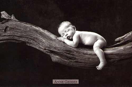 czarno biale - galeria anne geddes 137.jpg