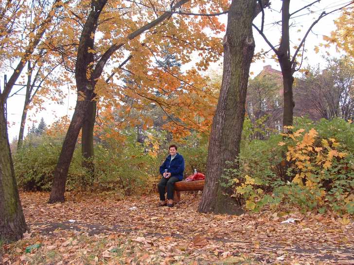 Moje rodzinne miasto - Grodziec-in-autumn-Bedzin.jpg