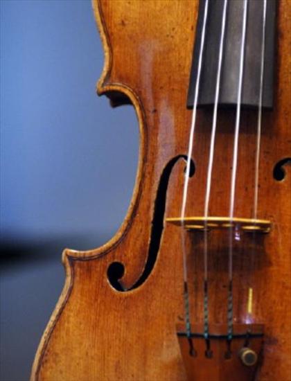skrzypiec - 2 - skrzypce stradivarius.jpg