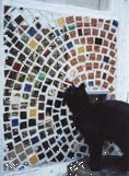 mozaika - catflap4.gif