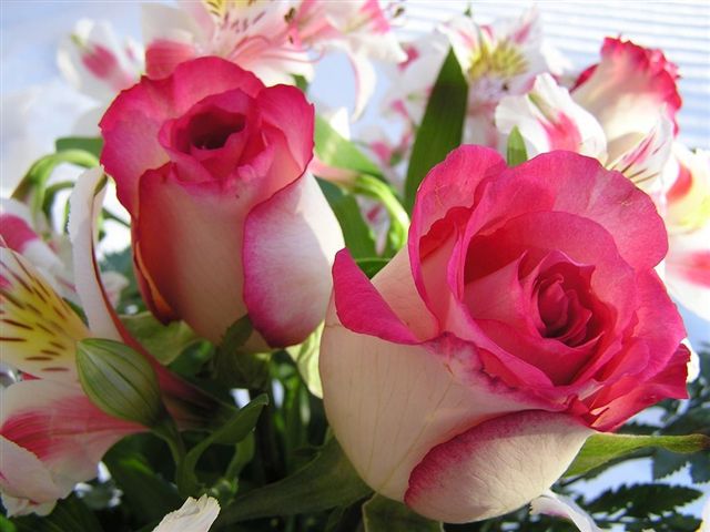 RÓŻE - Beautiful_Bouquet_with_Roses.jpg