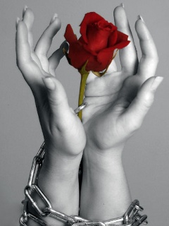 Kwiaty - Rose_In_Tied_Hands___.jpg