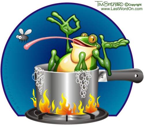 gify żaby - etc-frog-boiling.jpg