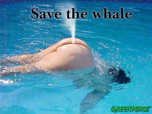 obrazy - Ratujcie wieloryby.jpg