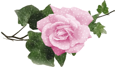  róże - ros066.gif