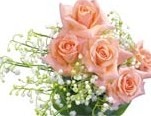 kwiaty - roses_png_orig 4.jpg