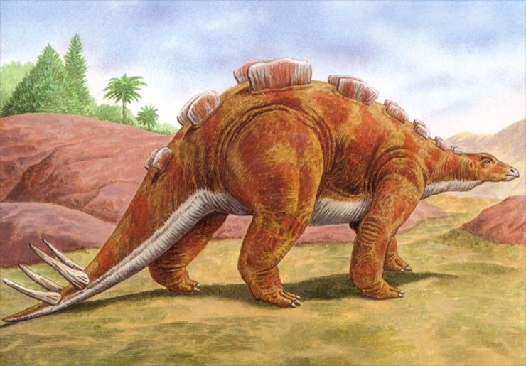 Dinosaurs - Wuerhosaurus.jpg