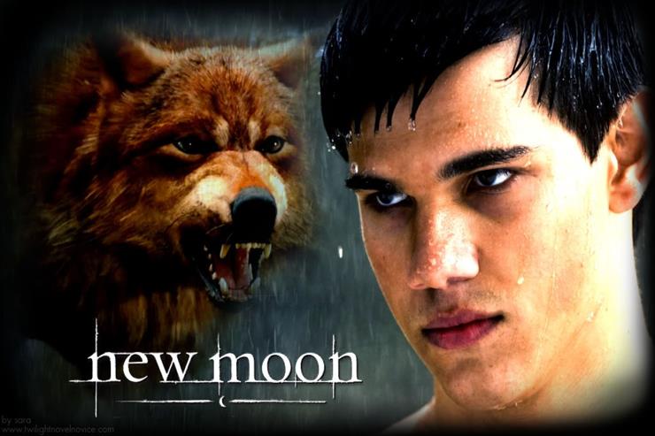 Jacob wolf  - new-moon-wolf-jacob.jpg