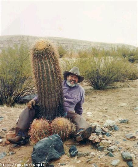 Dowcipy natury - duży kaktus.jpg