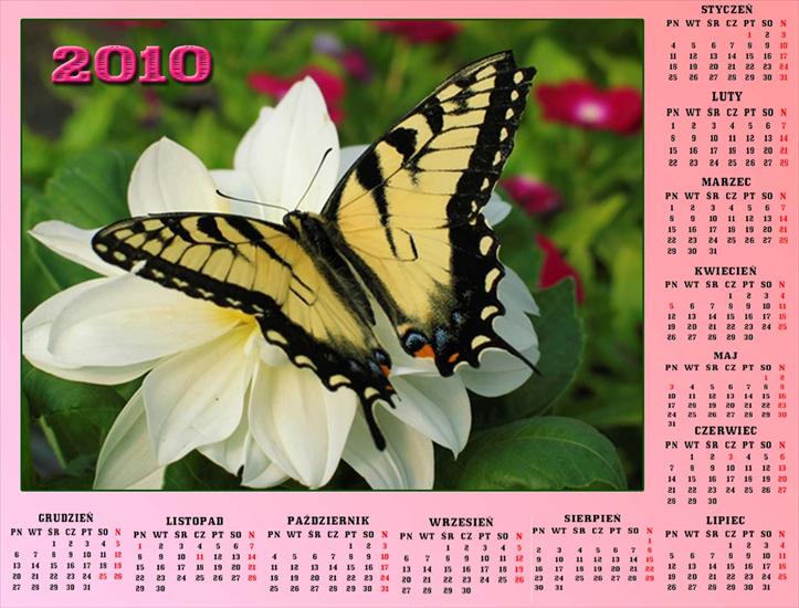 Kalendarze z motylkami - Bez nazwy 631.jpg