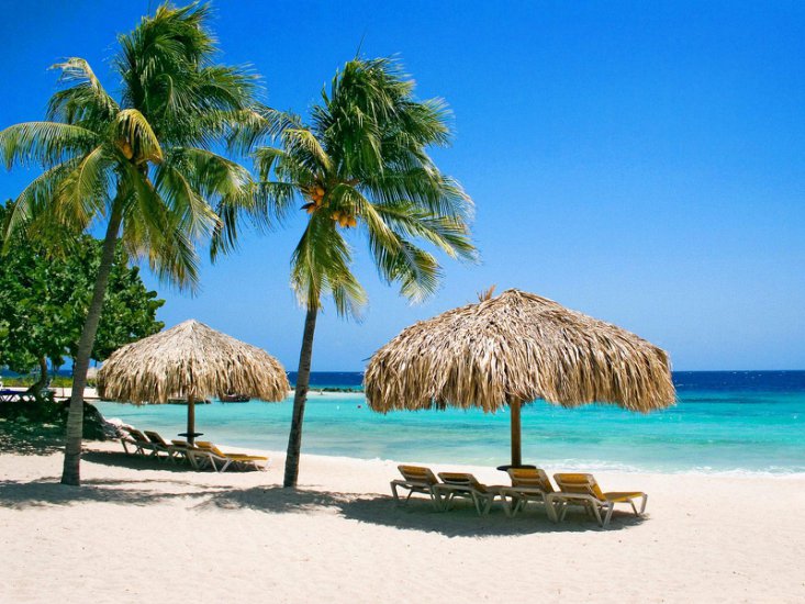 tapety morze palmy - plaża kokosowa.jpg